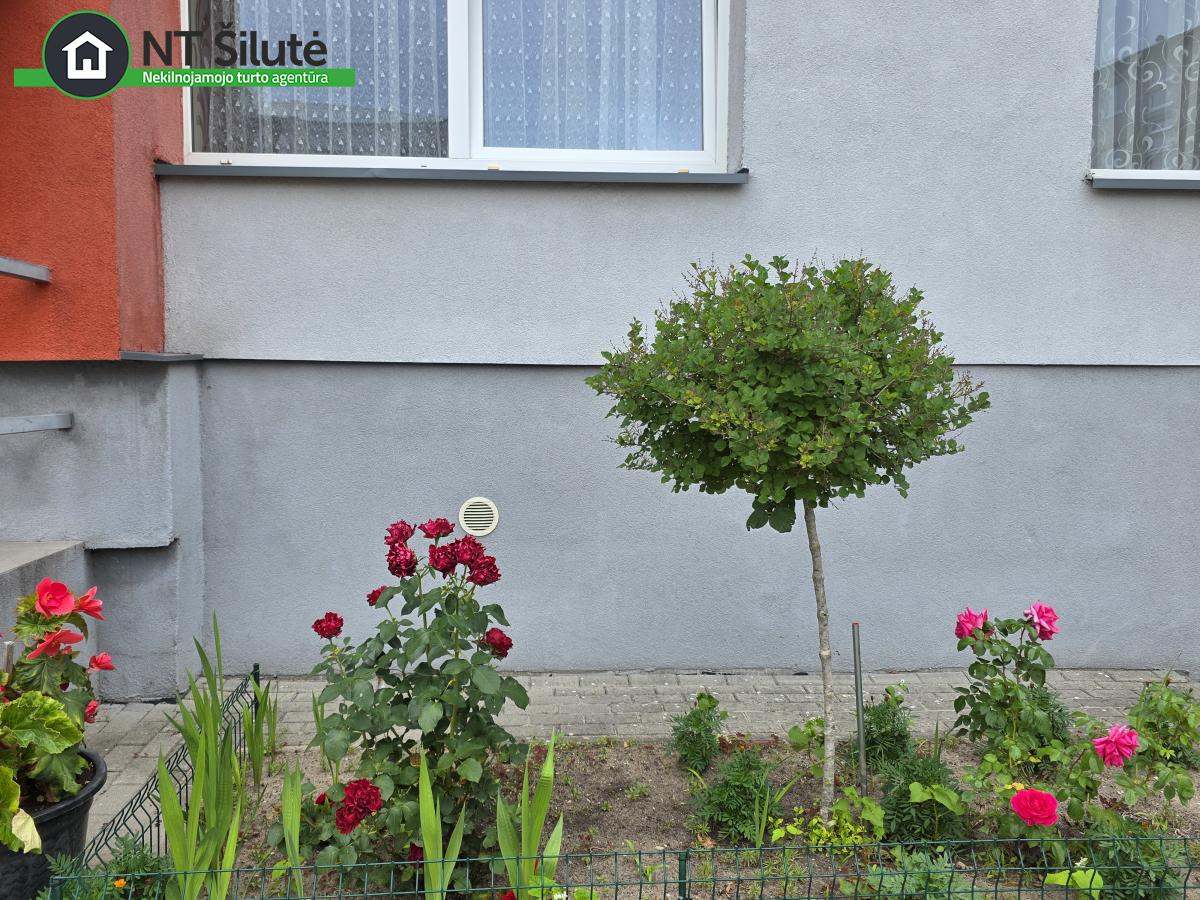 PARDUODAMAS 1 KAMBARIO BUTAS RENOVUOTAME NAME GLUOSNIŲ G. 3 (10)