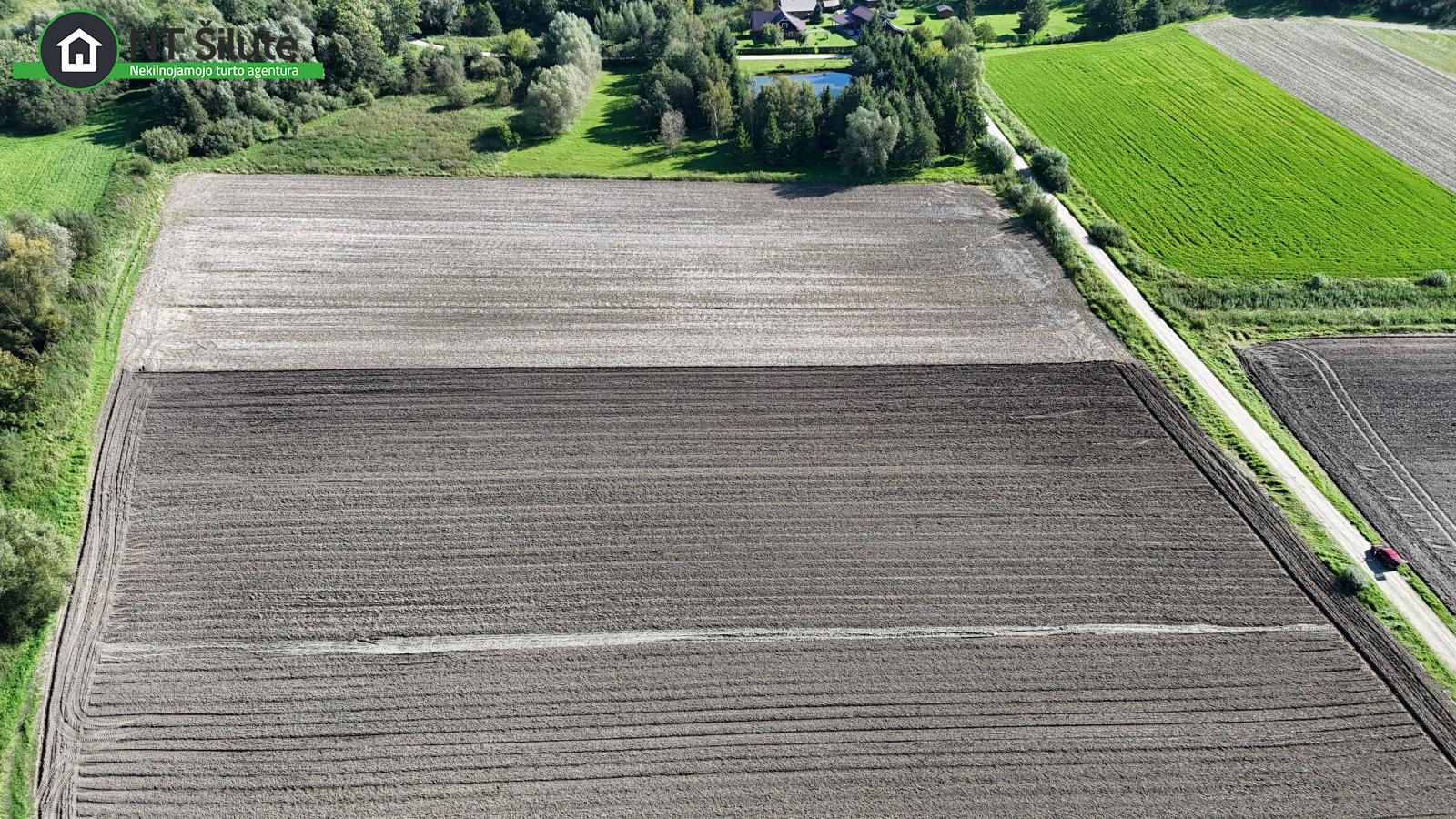 Parduodami 5 žemės ūkio paskirties sklypai Pakalnės k., Rusnės sen.,  (9)