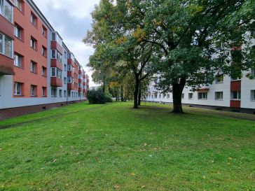 PARDUODAMAS 2 KAMBARIŲ BUTAS RENOVUOTAME NAME LAISVĖS AL.460