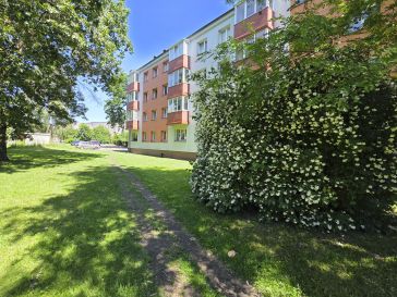 PARDUODAMAS 2 KAMBARIŲ BUTAS RENOVUOTAME NAME LAISVĖS AL.4