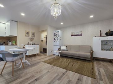 PARDUODAMAS 2 KAMBARIŲ BUTAS RENOVUOTAME NAME LAISVĖS AL.4
