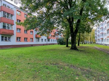 PARDUODAMAS 2 KAMBARIŲ BUTAS RENOVUOTAME NAME LAISVĖS AL.4