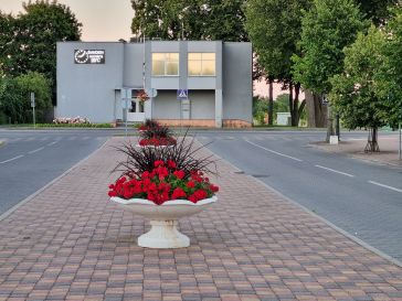 PAGĖGIŲ MIESTO CENTRE PARDUODAMAS 1 KAMBARIO BUTAS