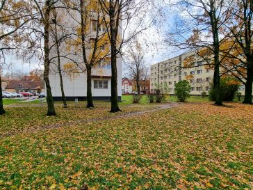 PARDUODAMAS 2 KAMBARIŲ BUTAS LAISVĖS AL. 7