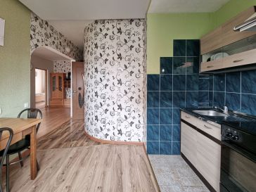 PARDUODAMAS 2 KAMBARIŲ SU DIDŽIUOJU HOLU BUTAS H.ZUDERMANO G. 