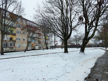 PARDUODAMAS 3 -JŲ KAMBARIŲ BUTAS  JAUNIMO AL. 10