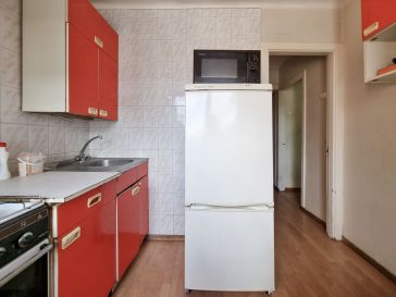 PARDUODAMAS 3 KAMBARIŲ BUTAS RENOVUOTAME NAME LAISVĖS AL. 9