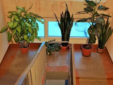 PARDUODAMAS  4-IŲ KAMBARIŲ BUTAS MELIORATORIŲ AL. 7