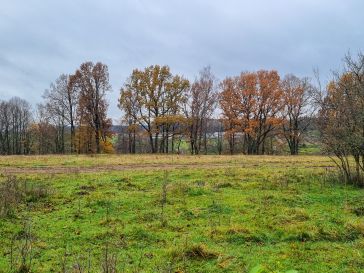 PARDUODAMAS GYVENAMAS NAMAS SU 0.2495 HA. ŽEMĖS SKLYPU