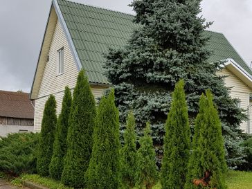 PARDUODAMAS NAMAS ŽEMAIČIŲ NAUMIESČIO SEN. DEGUČIŲ KM.