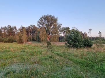 Parduodamas namų valdos žemės sklypas Gaideliuose