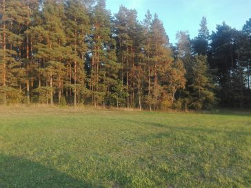 Parduodamas namų valdos žemės sklypas Gaideliuose