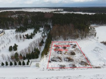 PARDUODAMAS ŽEMĖS SKLYPAS  ŠILUTĖS R. PAGRYNIŲ K. SODŲ G.